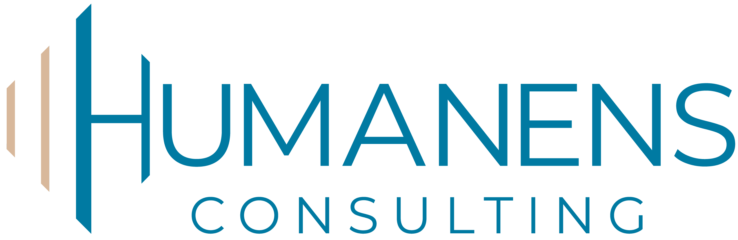 Logo Humanens Consulting